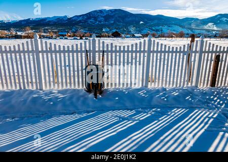 Weißer Vinyl-Pfostenzaun wirft lange Winterschatten auf Neuschnee; Methodist Mountain Beyond; Salida; Colorado; USA Stockfoto