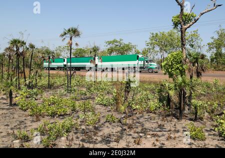 Road Train Truck, der in der Nähe von Berry Springs, Northern Territory, Australien, fährt. Stockfoto