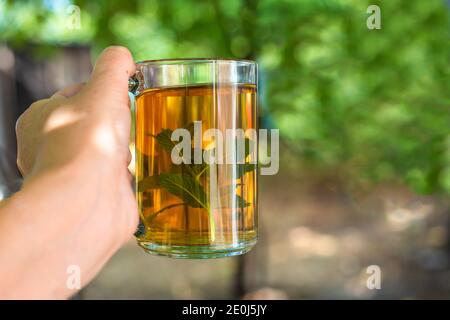 Grüner aromatischer Tee mit Minze in der Hand einer Frau. Morgentee im Freien im Sommergarten. Kräutergetränk. Stockfoto