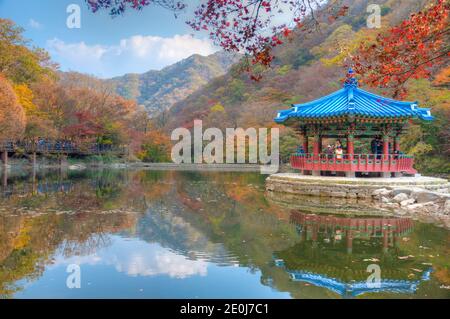 NAEJANGSAN, KOREA, 5. NOVEMBER 2019: Blauer Pavillon auf einem Teich im Naejangsan Nationalpark in der republik Korea Stockfoto