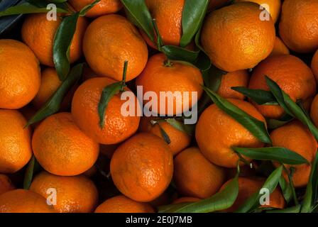Pack von Bio-angebaut Clementine, Gruppe von Rohprodukten. Stockfoto