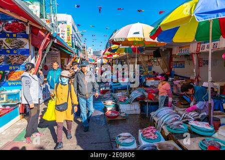 BUSAN, KOREA, 30. OKTOBER 2019: Auf dem Jagalchi-Fischmarkt in Busan, Republik Korea, kaufen die Menschen Meeresfrüchte Stockfoto