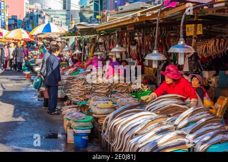 BUSAN, KOREA, 30. OKTOBER 2019: Auf dem Jagalchi-Fischmarkt in Busan, Republik Korea, kaufen die Menschen Meeresfrüchte Stockfoto