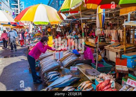 BUSAN, KOREA, 30. OKTOBER 2019: Auf dem Jagalchi-Fischmarkt in Busan, Republik Korea, kaufen die Menschen Meeresfrüchte Stockfoto