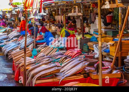 BUSAN, KOREA, 30. OKTOBER 2019: Auf dem Jagalchi-Fischmarkt in Busan, Republik Korea, kaufen die Menschen Meeresfrüchte Stockfoto