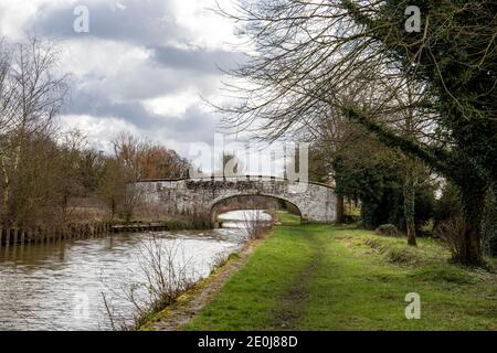 Weiß gewaschen Bogenbrücke auf dem Trent & Mersey Kanal In Cheshire UK Stockfoto