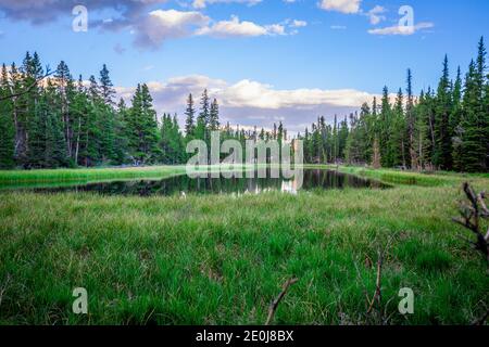 Colorado Sommerlandschaften und Texturen Stockfoto