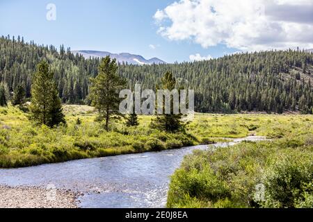 Colorado Sommerlandschaften und Texturen Stockfoto