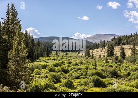 Colorado Sommerlandschaften und Texturen Stockfoto