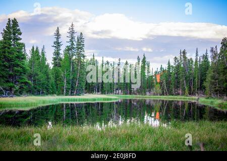 Colorado Sommerlandschaften und Texturen Stockfoto