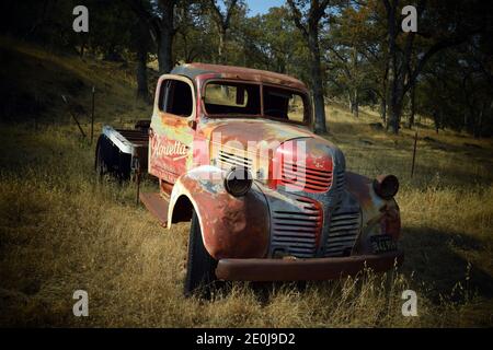 Verlassene LKW einst der Stolz und die Freude eines Geschäftsinhabers, sitzt dieser alte Dodge Truck verlassen in einem Feld und wird langsam zurückgewonnen. Stockfoto