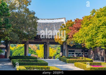 DAEGU, KOREA, 28. OKTOBER 2019: Eintritt zum Dalseong Park in Daegu, Republik Korea Stockfoto