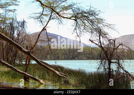 Landschaftlich schöner Blick auf einen See gegen Berge, Lake Elementaita, Naivasha Stockfoto