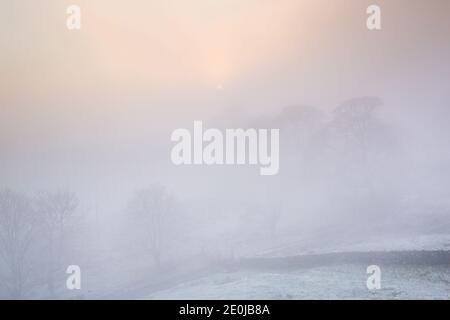 Bäume mit Reif geschnürt und in eiskalten Hügel gehüllt Nebel an einem kalten und eisigen Wintertag in Northumberland An Walltown Crags on Hadrian's Wall Stockfoto