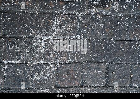 Enteisung des chemischen Reagenz im Winter auf dem Straßenbelag. Pflaster mit technischem Salz bestreut wird die Straße sicher, Draufsicht machen. Stockfoto