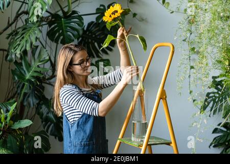 Kleinunternehmen. Floristin Frau von tropischen Pflanzen umgeben zieht eine einzelne Blume der Sonnenblume aus einer Vase, um den Stamm mit einer Schere geschnitten, stehend Stockfoto