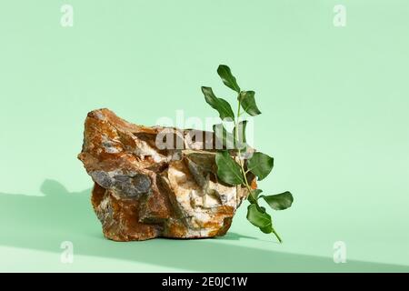 Podium aus Naturstein mit Blattschatten. Produktpräsentati auf hellgrünem Hintergrund. Kosmetik oder Beauty-Produkt Förderung minimalistischen Mockup. Stockfoto