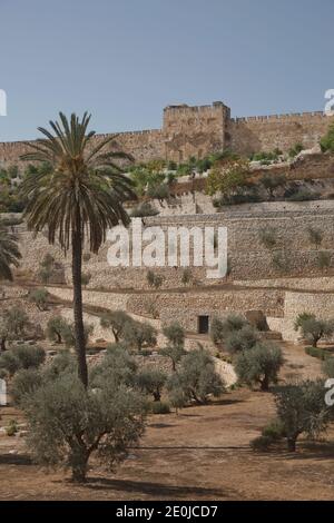 Terrassen des Kidron-Tals und die Mauer der Altstadt in Jerusalem in Israel. Stockfoto