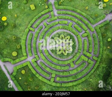 Topiary Garten in der Form eines Labyrinths. Stockfoto
