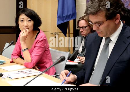 Der französische Minister für industrielle Erholung und Lebensmittelindustrie, Arnaud Montebourg, und der Juniorminister für KMU, Innovationen und digitale Wirtschaft, Fleur Pellerin, nehmen am 18. Juli 2012 an einer Anhörung in der Nationalversammlung in Paris Teil. Foto von Stephane Lemouton/ABACAPRESS.COM Stockfoto