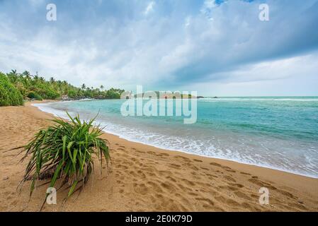 Ein Blick auf Mirissa Strand in Sri Lanka Stockfoto