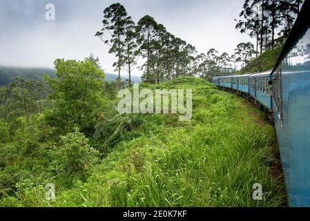 Die Ella nach Kandy Diesel zug Lokomotive Winde durch die Teeplantagen in der Nähe von Nuwara Eliya, Sri Lanka. Stockfoto