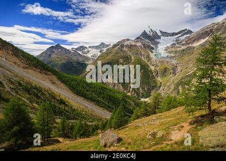 visp weißhorn, zermatt, Baum, Landschaft, Stockfoto