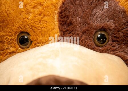 Nahaufnahme Foto von einem Teddy trägt Augen, weiche Spielzeug Augen suchen Stockfoto
