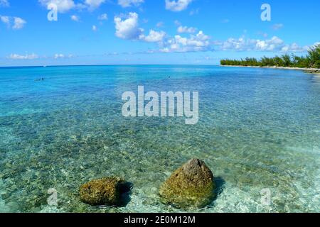 Atemberaubendes kristallklares Wasser mit Korallen entlang der flachen Bucht von Princess Cays, Bahamas Stockfoto