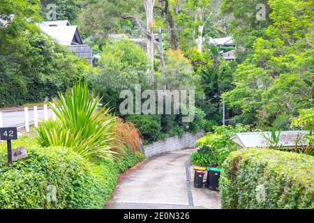 Australischer Sydney Garten in einem privaten Haus in Clareville Ein Vorort der nördlichen Strände von Sydney, New South Wales, Australien Stockfoto