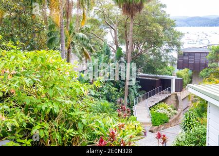 Australischer Sydney Garten in einem privaten Haus in Clareville Ein Vorort der nördlichen Strände von Sydney, New South Wales, Australien Stockfoto