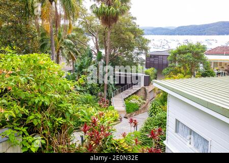 Australischer Sydney Garten in einem privaten Haus in Clareville Ein Vorort der nördlichen Strände von Sydney, New South Wales, Australien Stockfoto