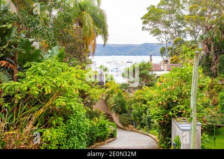 Typisch Sydney nördlichen Stränden Stil Garten mit einheimischen Pflanzen und üppige grüne Farbe, Clareville, Sydney, Australien Stockfoto