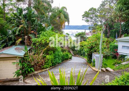 Australischer Sydney Garten in einem privaten Haus in Clareville Ein Vorort der nördlichen Strände von Sydney, New South Wales, Australien Stockfoto