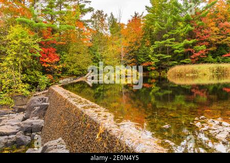 Flinton Falls Conservation Area Lennox Addington County Flinton Ontario Kanada Im Herbst Stockfoto