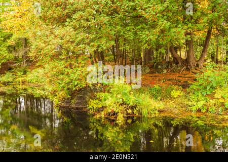 Flinton Falls Conservation Area Lennox Addington County Flinton Ontario Kanada Im Herbst Stockfoto