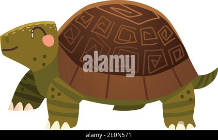Nette Schildkröte Cartoon Tier Symbol über weißem Hintergrund Design Vektor Abbildung Stock Vektor