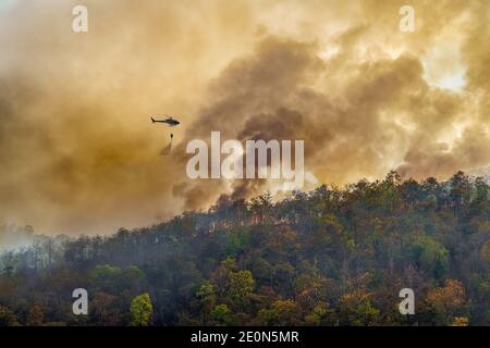 Feuerbekämpfung Hubschrauber Fallenlassen Wasser auf Waldbrand Stockfoto