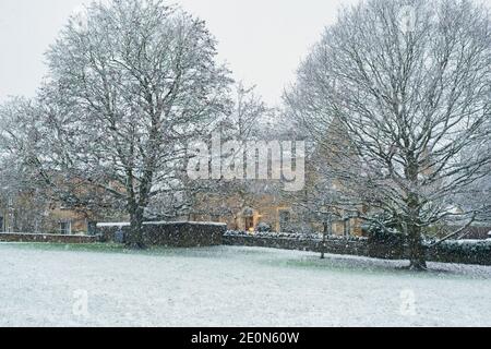 Cotswold Steinhaus und Bäume im Schnee zu weihnachten. Shipton Unter Wychwood, Cotswolds, Oxfordshire, England Stockfoto