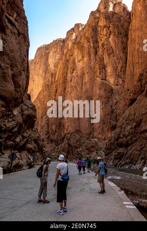 Touristen, die durch die Todra-Schlucht bei Tinerhir, Marokko, wandern. Die Todra-Schlucht ist eine 160 Meter hohe Schlucht im östlichen Teil des Hohen Atlasgebirges. Stockfoto