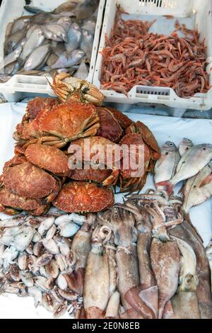 Eine Vielzahl von Fisch und Meeresfrüchten zum Verkauf im Fischereihafen von Essaouira an der Atlantikküste von Marokko. Stockfoto