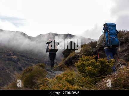 Tangariro. Januar 2021. Rucksacktouristen wandern am 2. Januar 2021 durch den Tongariro Alpine Crossing in der zentralen Nordinsel Neuseelands. Der Tongariro Alpine Crossing liegt im Tongariro National Park, einem zweifachen Weltkulturerbe, und ist als einer der besten Tageswanderungen Neuseelands bekannt. Kredit: Guo Lei/Xinhua/Alamy Live Nachrichten Stockfoto