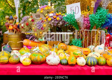 Kikinda, Vojvodina, Serbien - 11. Oktober 2014: Verschiedene farbige getrocknete Blumen und Kürbisse mit schriftlichen Notizen und Preis sind auf Stand zum Verkauf, A platziert Stockfoto