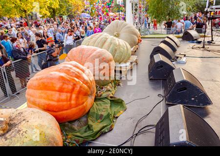 Kikinda, Vojvodina, Serbien - 11. Oktober 2014: Riesige Kürbisse auf der Bühne beim traditionellen Feiertagswettbewerb. Stockfoto
