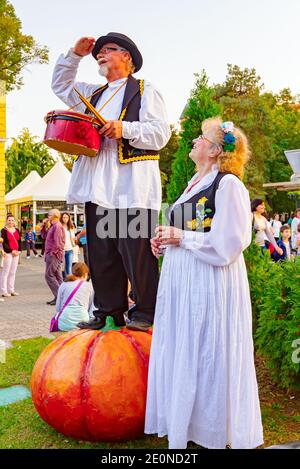 Kikinda, Vojvodina, Serbien - 11. Oktober 2014: Straßenkünstler, älterer Schlagzeuger auf großem Squash und ältere Frau neben ihm, sie sind in na Stockfoto