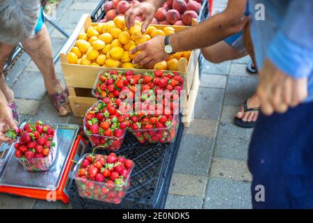Der Verkäufer auf dem Markt verkauft Obst. Rote reife Erdbeeren und Aprikosen in Tabletts zum Verkauf. Ländlicher Straßenmarkt. Käufer wählen ein Produkt Stockfoto