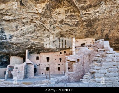 Spruce Tree House Ruinen im Alkoven im Chaplin Mesa in Mesa Verde Nationalpark, Colorado, USA Stockfoto