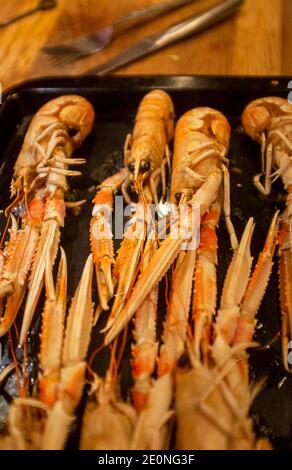 Schottische Langoustines Kochen in einem elektrischen Ofen Stockfoto