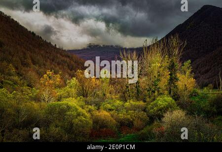 Herbstfarben der Vegetation und Landschaft des Val Fondillo in den Abruzzen Latium und Molise Nationalpark. Abruzzen, Italien, Europa Stockfoto