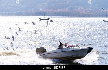 Kunming, Chinas Provinz Yunnan. Januar 2021. Am Haigeng-Staudamm in Kunming, südwestlich der Provinz Yunnan, beobachten Menschen Schwarzkopfmöwen mit dem Schnellboot, 2. Januar 2021. Quelle: Wang Guansen/Xinhua/Alamy Live News Stockfoto